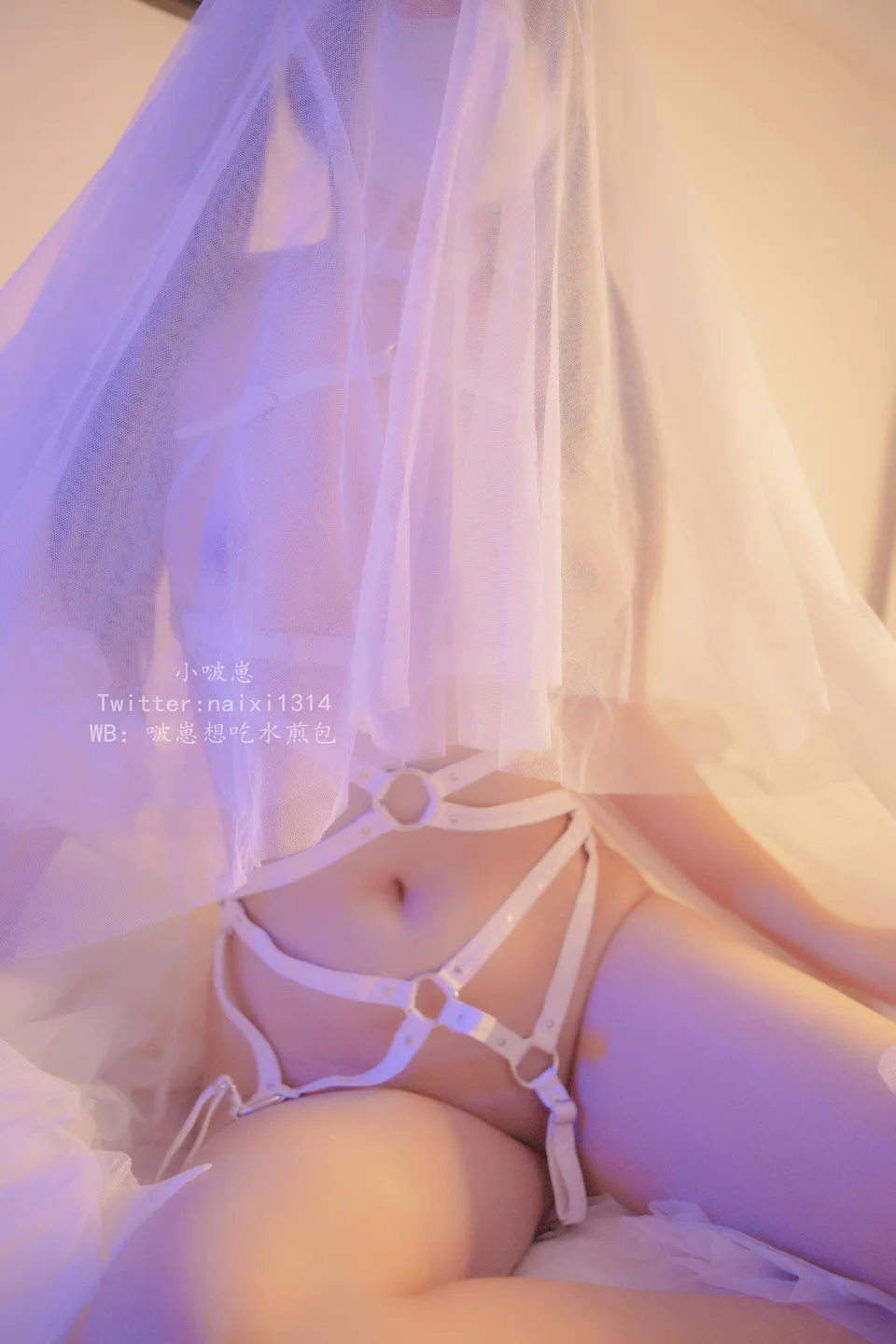 狍崽饭 - No.003 朦胧白 [46P-131MB] tg@simisebaisi 【丝足阁】010.webp